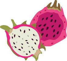 food fruit pink pitaya dragon fruit vector