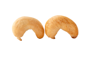 Front view of two Roasted brown cashew nuts isolated with clipping path in png file format Close up photo