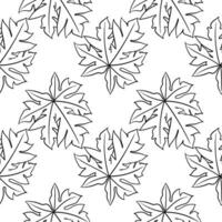 leaf hand drawn seamless pattern3 vector