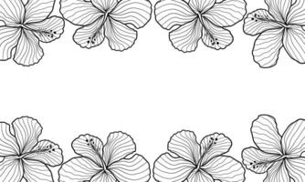 hand drawn hibicus flower vector