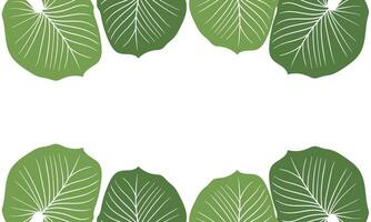 leaf illustration background with nature theme3 vector