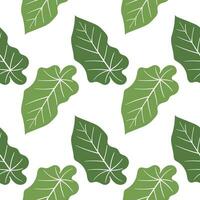 leaf illustration seamless pattern3 vector