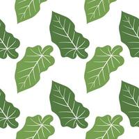 leaf illustration seamless pattern3 vector