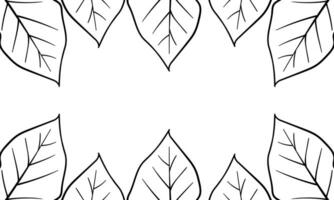 leaf hand drawn background with nature theme vector