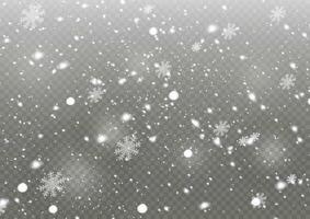 que cae nieve con copos de nieve y nubes mector ilustración. luz, polvo, invierno, tormenta de nieve, Navidad, vector. el efecto de un escarchado tormenta, nevada, hielo. que cae nieve efecto con copos de nieve vector