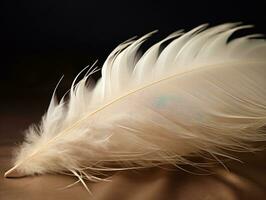 Delicate Feather, Elegance of Nature A Detailed Shot of a White Feather on a Brown Background AI Generative photo