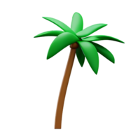 Palm tree 3d rendering icon illustration png