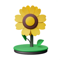 sunflower 3d icon illustration png