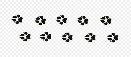 Footpath trail of animal. Dog paws. Dog paws walking randomly print vector isolated on white background.