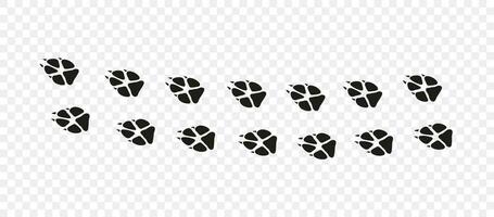 Footpath trail of animal. Fox paws. Fox paws walking randomly print vector isolated on white background.