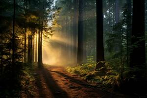 un crepúsculo desciende sobre un denso bosque, un haz de luz de sol perfora mediante el follaje, esclarecedor un aislado arboleda, ai generativo foto