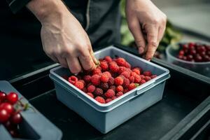 Berries container farmer hands. Generate Ai photo