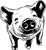 pig mammal animal body in black and white vector