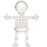 drawing cartoon skeleton png