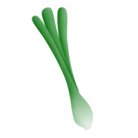 cartoon drawing spring onion green png