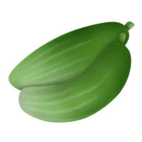 cetriolo cartone animato disegno png