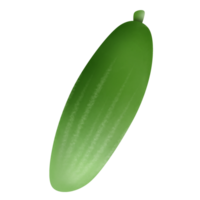 Pepino dibujos animados dibujo png