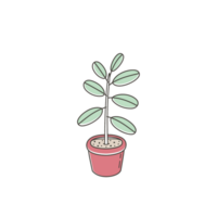 garden plants design png