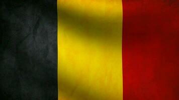 Belgium flag waving at wind video