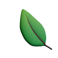 leaf 3d illustration icon png