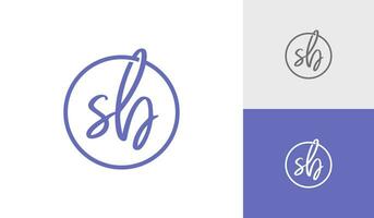 Handwritting or signature letter SB monogram logo design vector