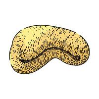 roasted cashew nut sketch hand drawn vector