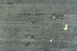 Dark old wooden table texture background top view photo