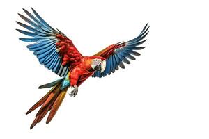 A Scarlet macaw parrot flying isolated on white background. Generate Ai photo