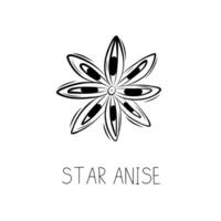 Sketch Star Anise Simple Vector Illustration in Doodle Style