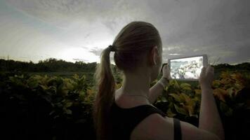 kvinna utomhus- använder sig av läsplatta pc till göra foton av natur scener video
