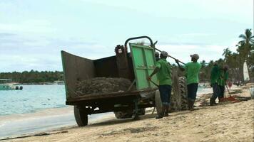 meerdere arbeiders schoonmaak strand van zee onkruid video