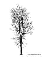 Dead Tree without Leaves Vector Illustration Sketched, EPS 10.