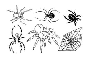 mano dibujado garabatear conjunto de diferente tipo de arañas y araña web. bosquejo diseño para Víspera de Todos los Santos. negro bosquejo elementos en blanco antecedentes. bueno para colorante páginas, pegatinas, tatuaje vector