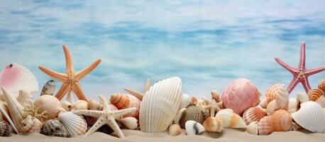 Display of seashells and starfish in coastal vacation home photo