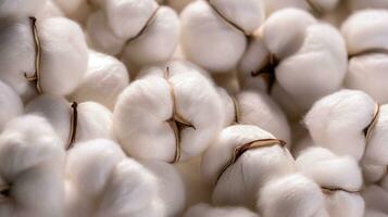 Abstract Background of Cotton Balls A Detailed and Comfortable Image of a Dry and Smooth Fiber with a Shallow Depth of Field AI Generative photo