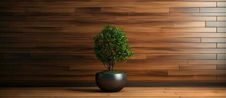 Wooden walled interior with a tiny green tree in a pod offering empty area for text photo
