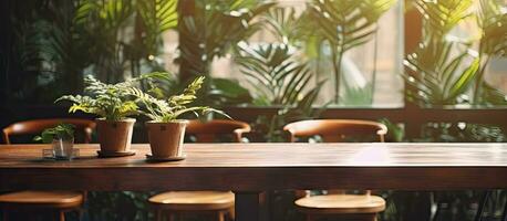 Plants in pots on cafe table photo