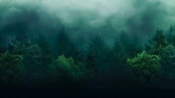 Temperate Rainforest in the Fog AI Generative photo