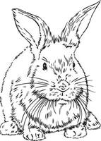 Bunny rabbit cnc friendly vector