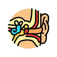 ear anatomy audiologist doctor color icon vector illustration