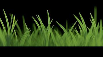 AI Generative grass photo