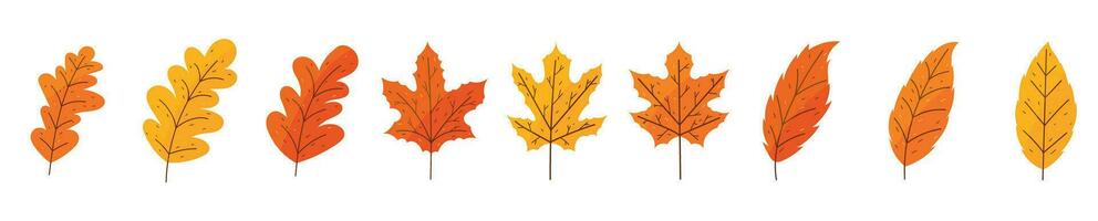 autumn leaves set brown fall leaf oak leaf acorn leaf vector