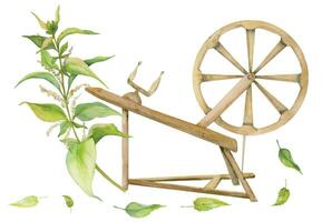 Hand drawn watercolor spinning wheel with nettle leaves on stalk. Natural plant. Botanical illustration isolated object composition on white background. For shop logo print, website, card, booklet. vector