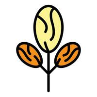 Dried seed icon vector flat