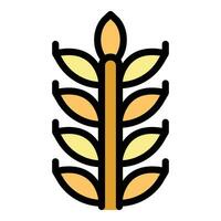 Wheat plant icon vector flat