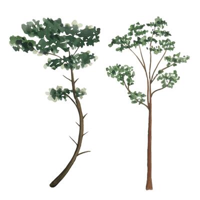 Watercolor set with trees. Forest elements for landscape