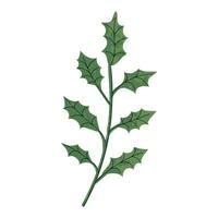 Illustration of Christmas Mistletoe Twig vector