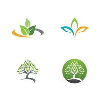 logotipos de la ecología de la hoja del árbol verde vector