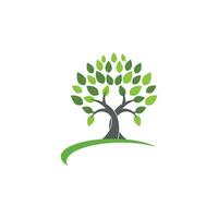 Logos of green Tree leaf ecology vector