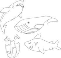 outline sea animals clipart set in cartoon style. includes 4 ocean animals for kids and children vector